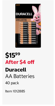 Duracell AA Batteries 40 pack Item 1012885