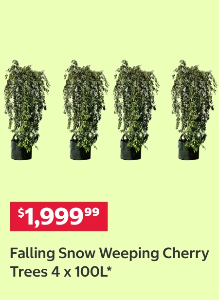 94695