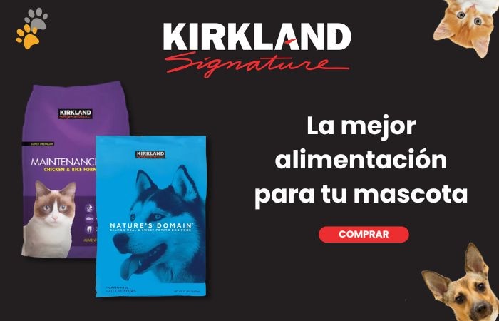 Costco en línea