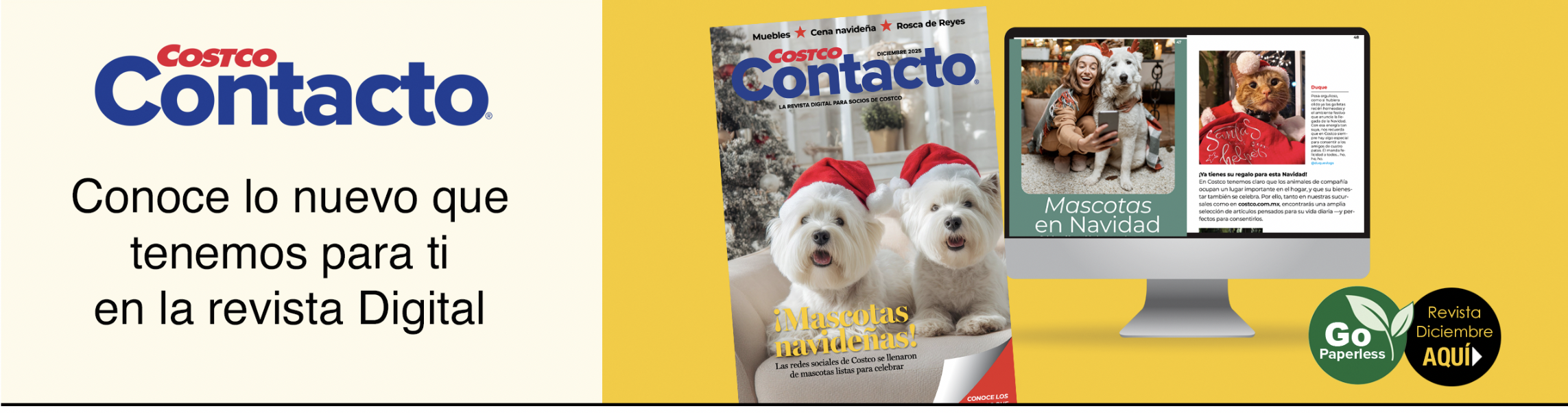 Revista Diciembre