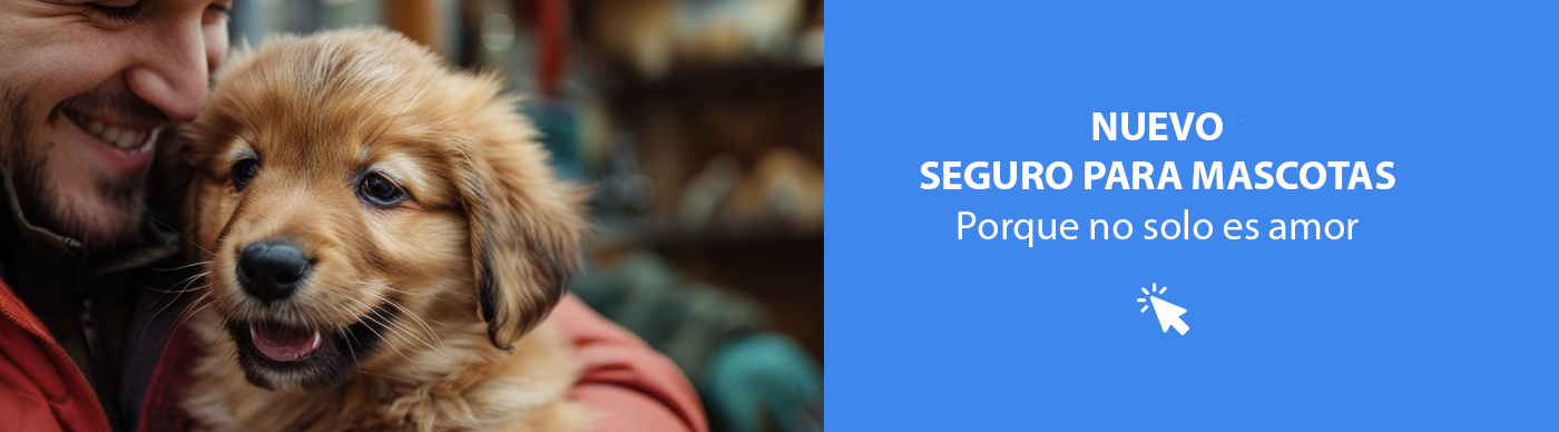 Seguro para mascotas