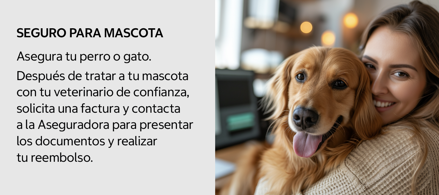 Seguro para Mascotas