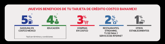 Costco en línea