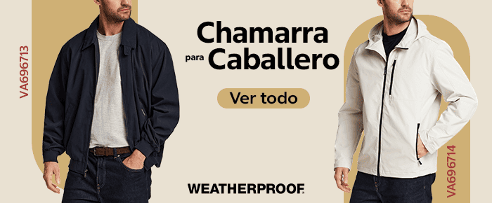 Costco en línea