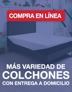 Costco en línea