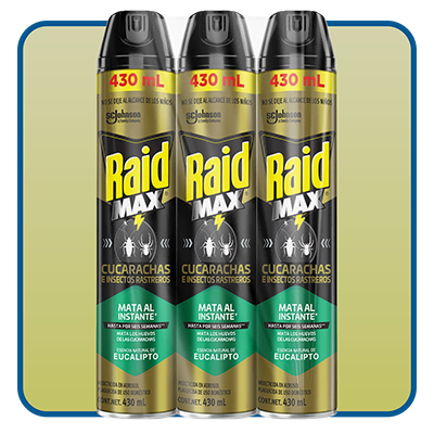 Raid Eucalipto 3 piezas