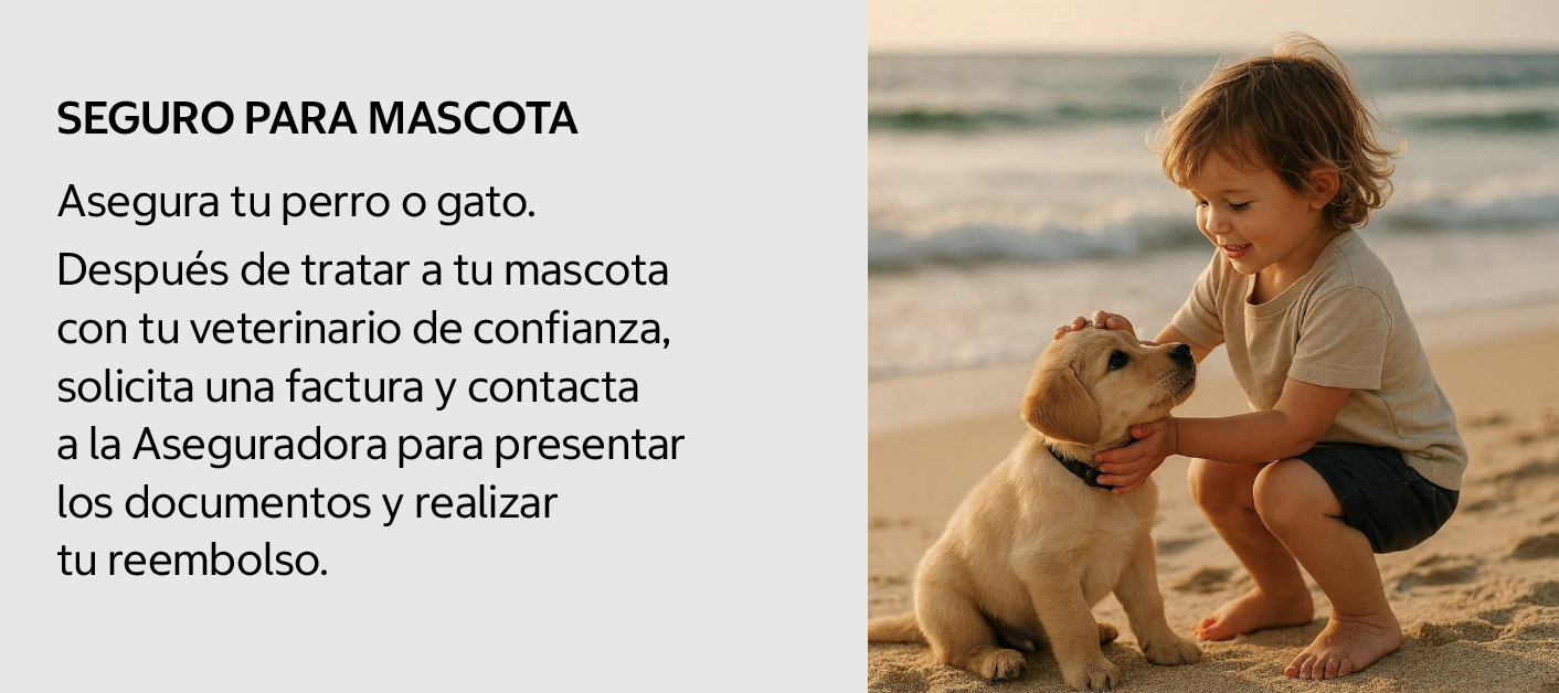 Seguro de mascotas