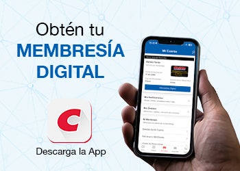 Costco en línea