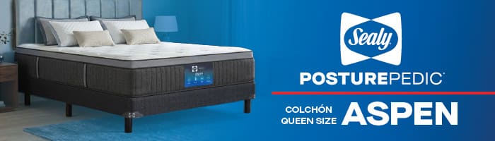 Costco en línea