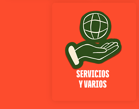 SERVICIOS Y VARIOS