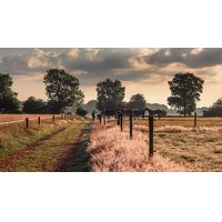 Hotel Bosrijk Ruighenrode