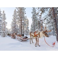 Geniet van een onvergetelijk avontuur na..