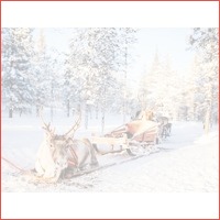 De ultieme Alles-in-1-Deal: FINS LAPLAND..