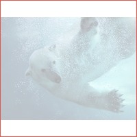 Verblijf 2 dagen in een 4*-hotel in Emme..