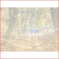 Verblijf 3 dagen op de Veluwe