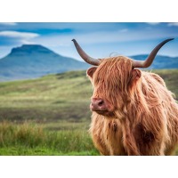 Een once-in-a-lifetime IJsland's avontuu..