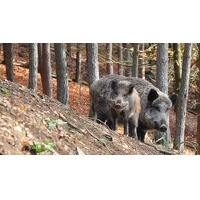 Hotel De Hoeve van Nunspeet