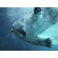 Verblijf 2 dagen in een 4*-hotel in Emme..