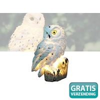 Solar LED Verlichte Uil - Zonne-energie