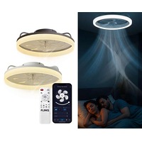 Plafondventilator met verlichting