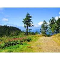 Ontsnap naar het natuurrijke Beierse Wou..