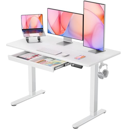 ErGear 48x24 Inch Electric Standing Desk with Drawers