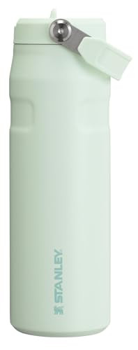 24-Oz Stanley IceFlow Flip Straw 2.0 Water Bottle (Mist)