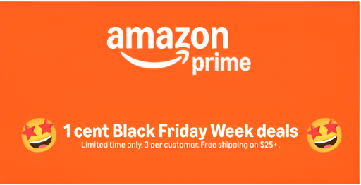 Amazon Haul Black Friday Steals