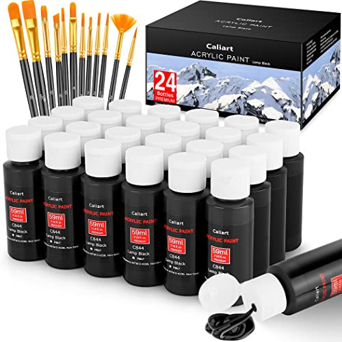 Caliart Black Acrylic Paint with 12 Brushes, Pack of 24