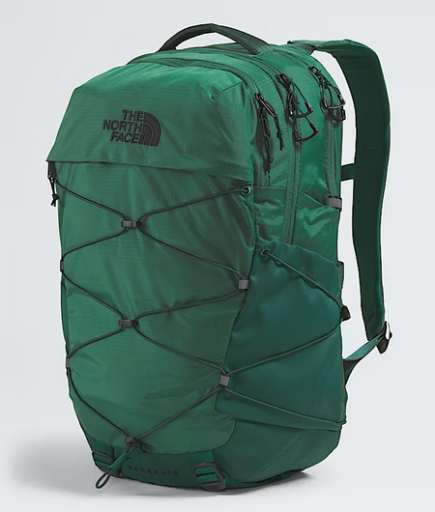 The North Face Borealis Backpack