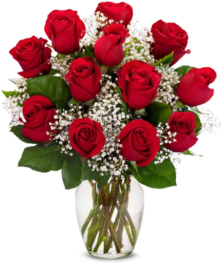 One Dozen Red Roses