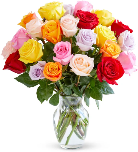 Two Dozen Rainbow Roses