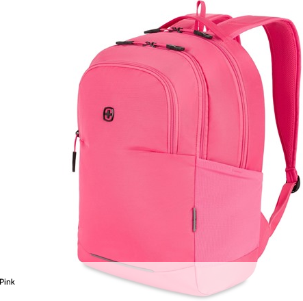 SwissGear Orientation Laptop Backpack 17