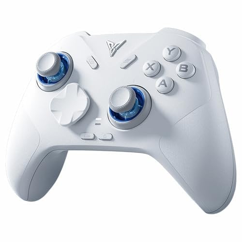 FLYDIGI Direwolf 4 PC Controller 1000Hz Report Rate