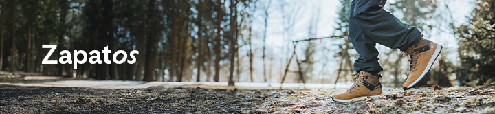 Zapatos 