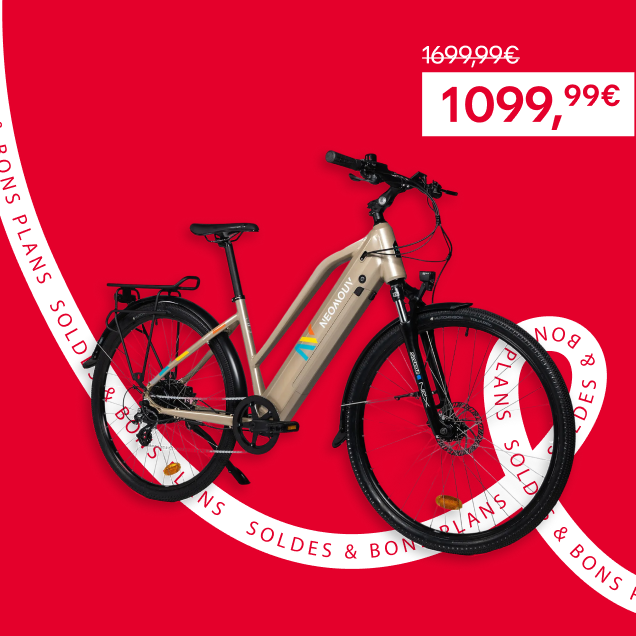 Vélo Tout Chemin Electrique - NEOMOUV RAIPON