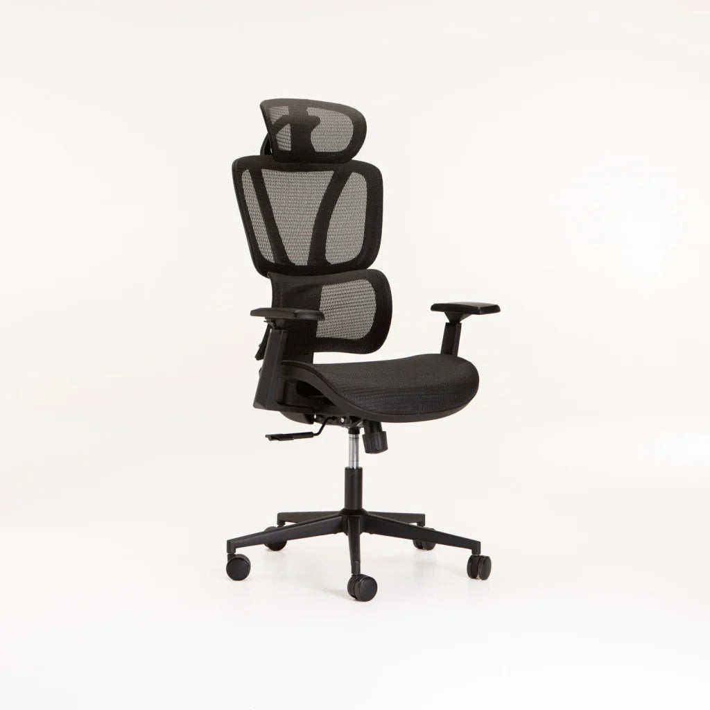 Image of ERGONOMIC LUXURY EXECUTIVE OFFICE CHAIR AH601