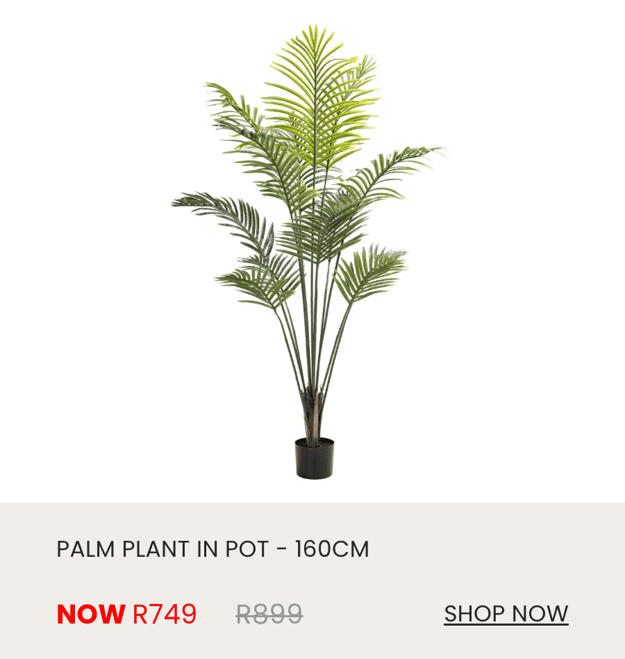 plant