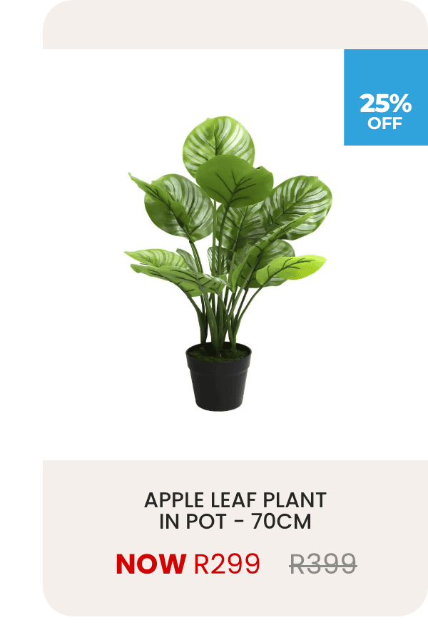 PLANT