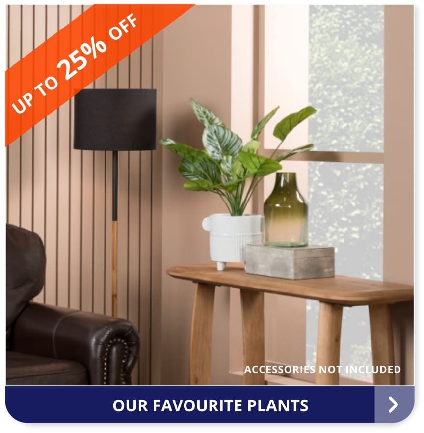plants