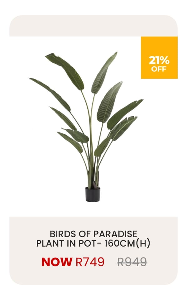 PLANT