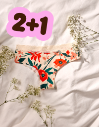 2 + 1 zdarma na dámské spodní prádlo
