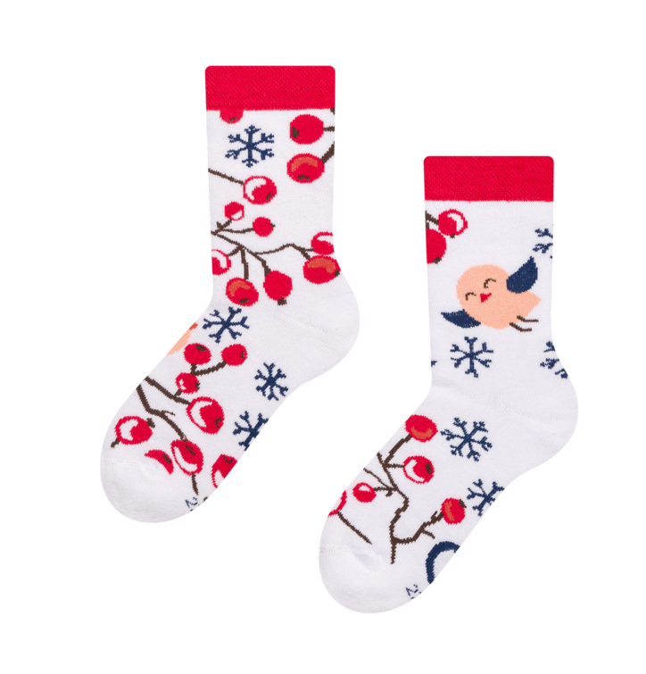 Veselé dětské teplé ponožky Zimní bobule