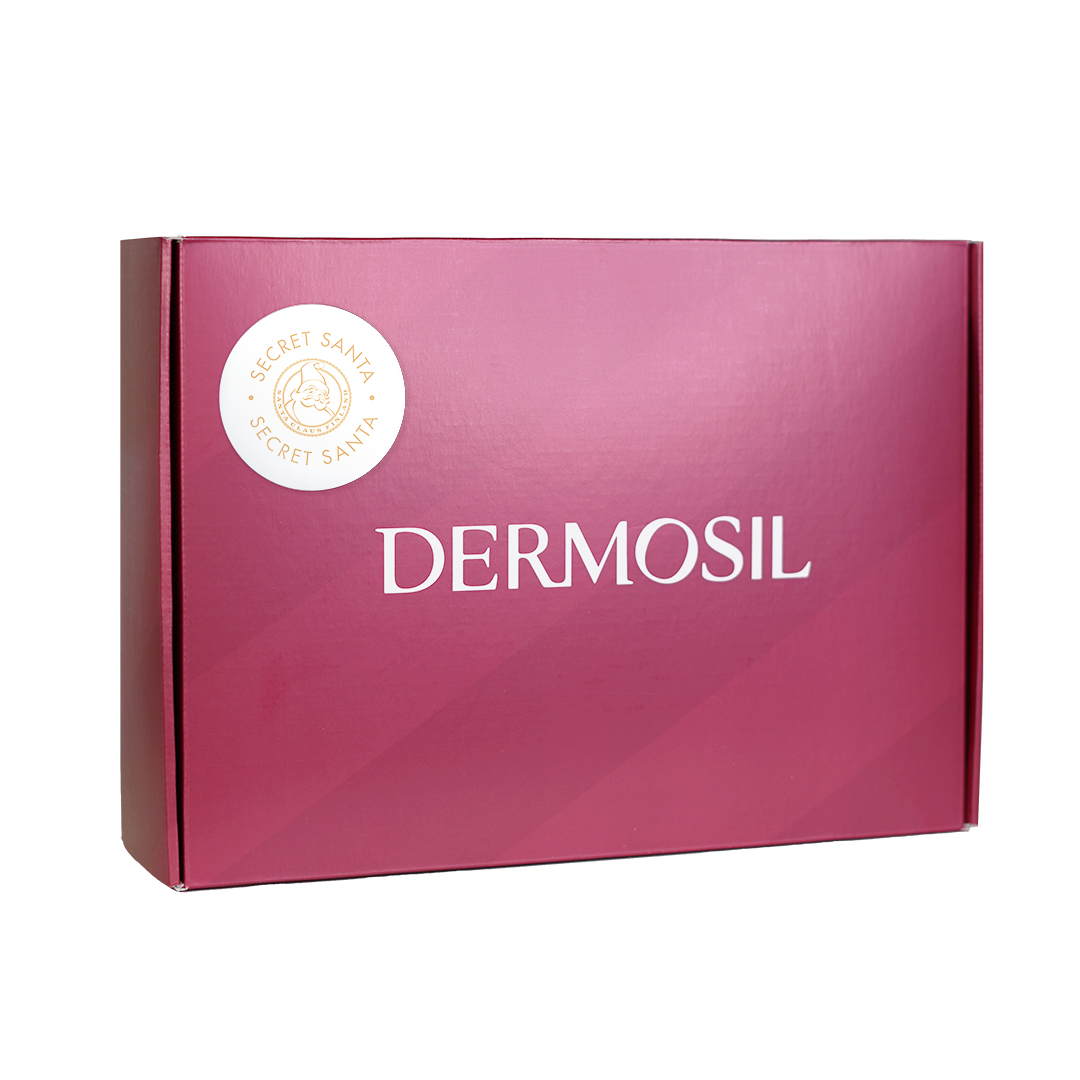 Image of Secret Santa’s Big Box