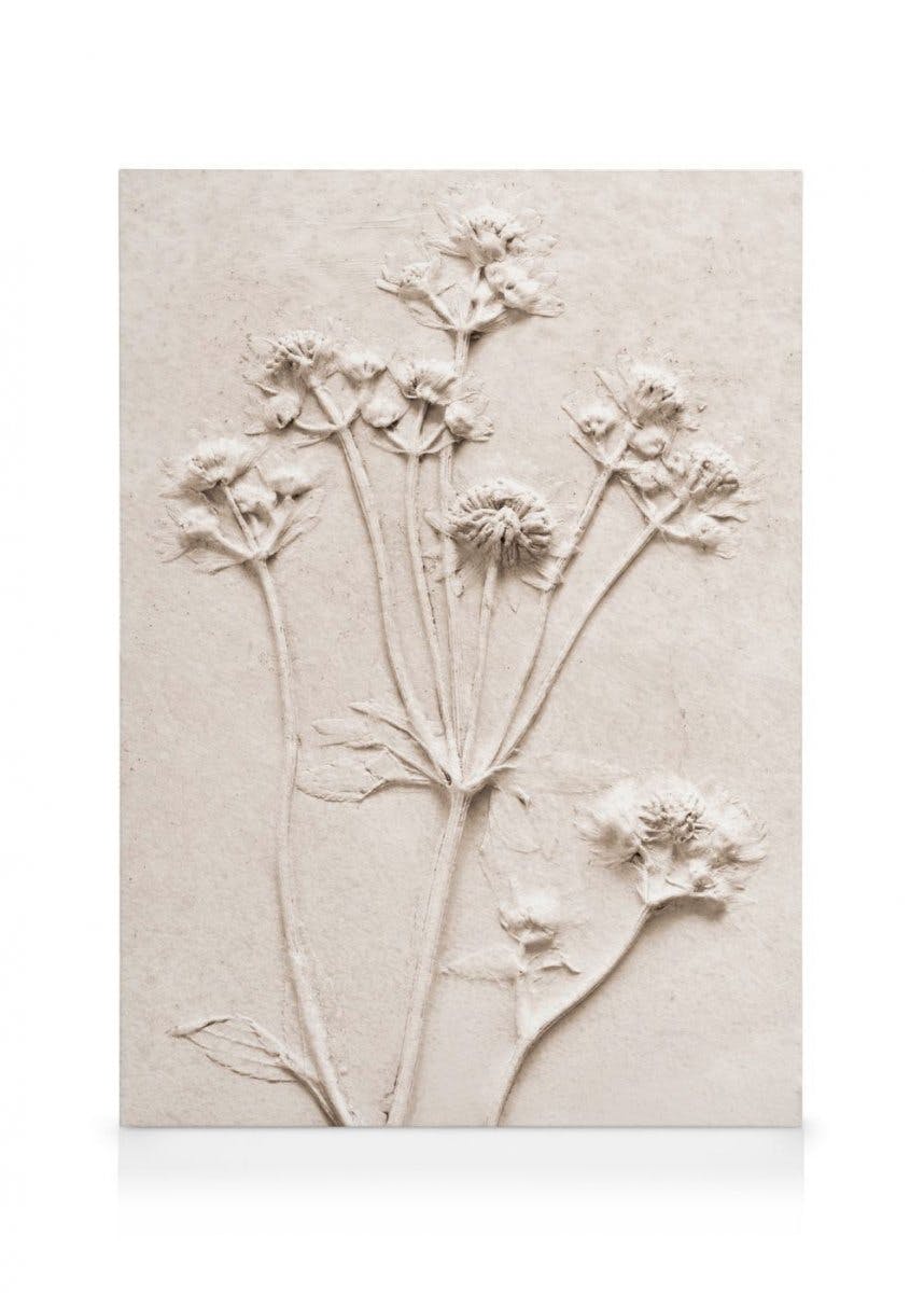 Relief Flowers No1 Lienzo