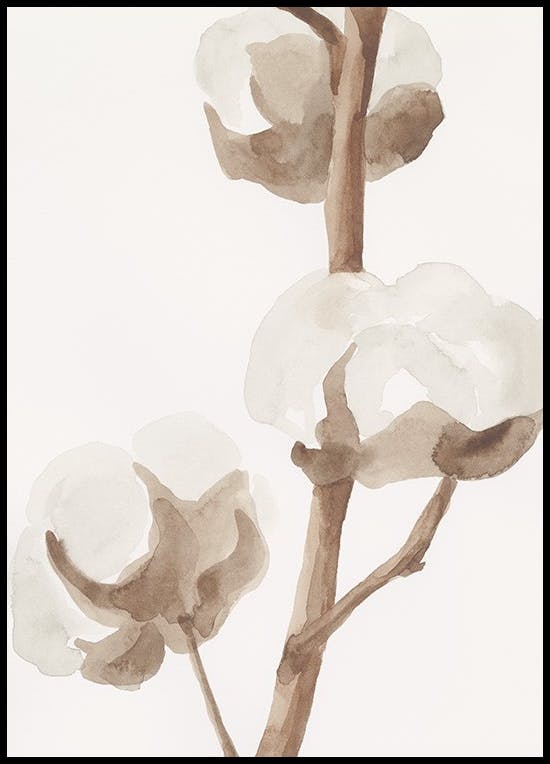 Aquarelle Cotton Flowers Poster