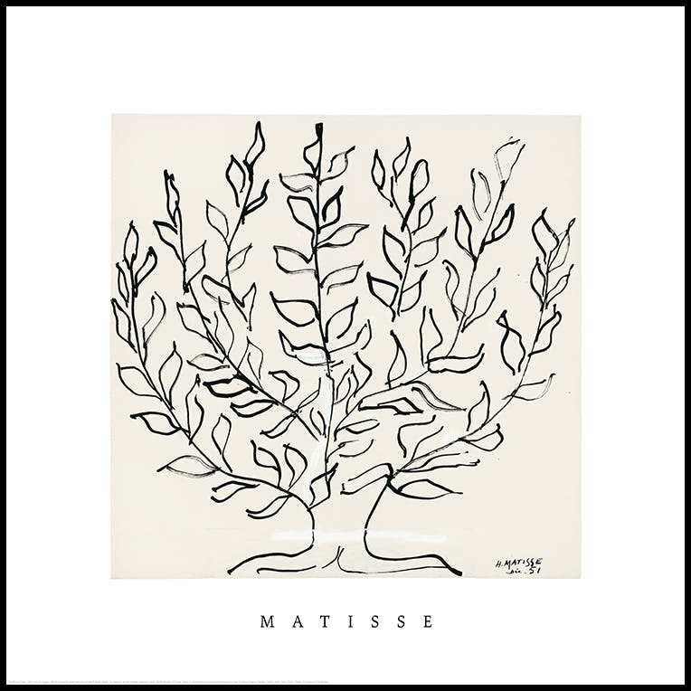 Matisse - The Plane Tree Square Poster