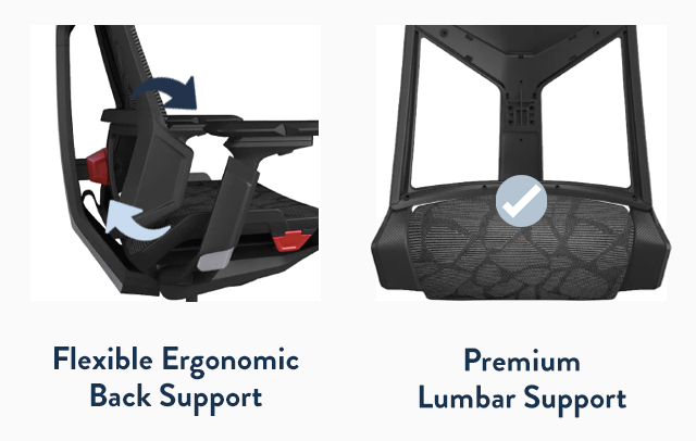 Flexible Ergonomic Support