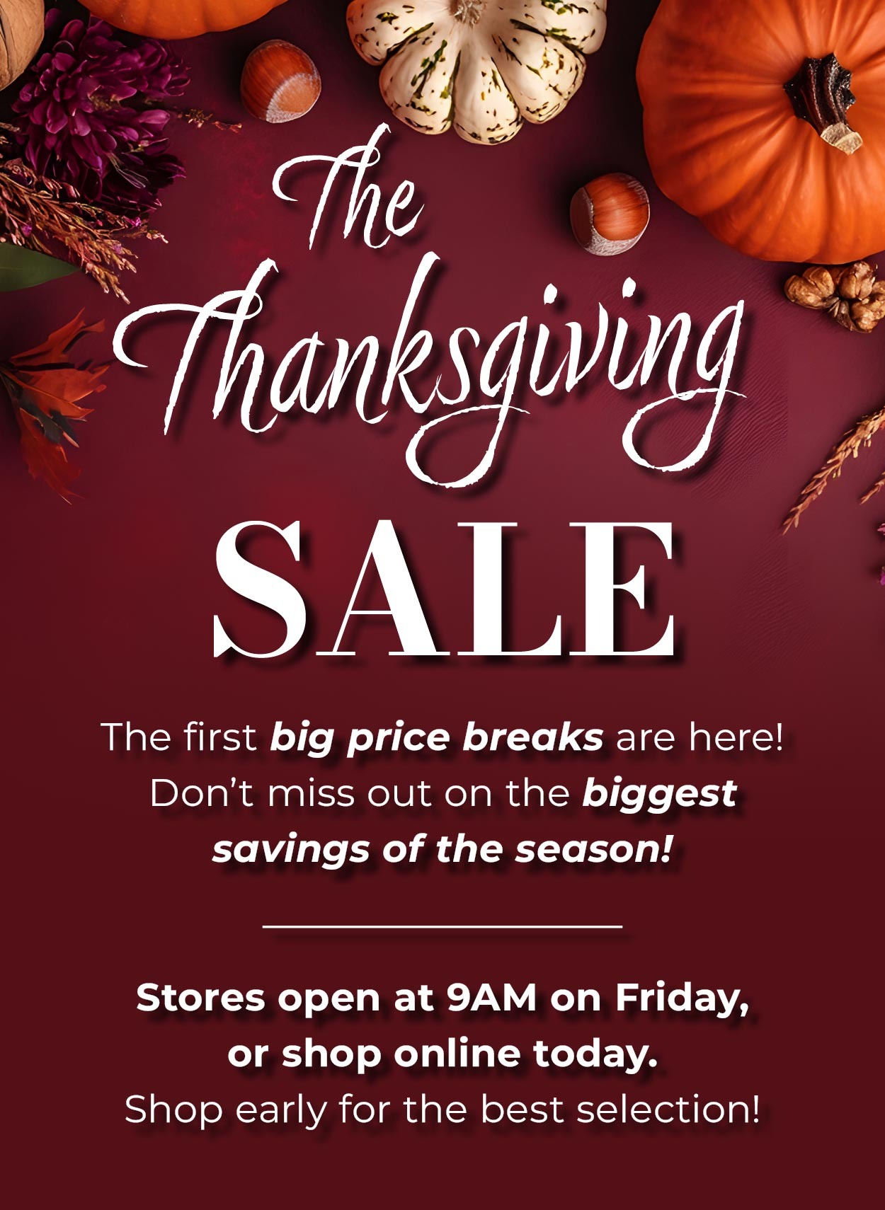 The Thanksgiving SALE. The first big price breaks are here! Don't miss out on the biggest savings of the season! Stores open at 9AM on Friday, or shop online today. Shop early for the best selection!