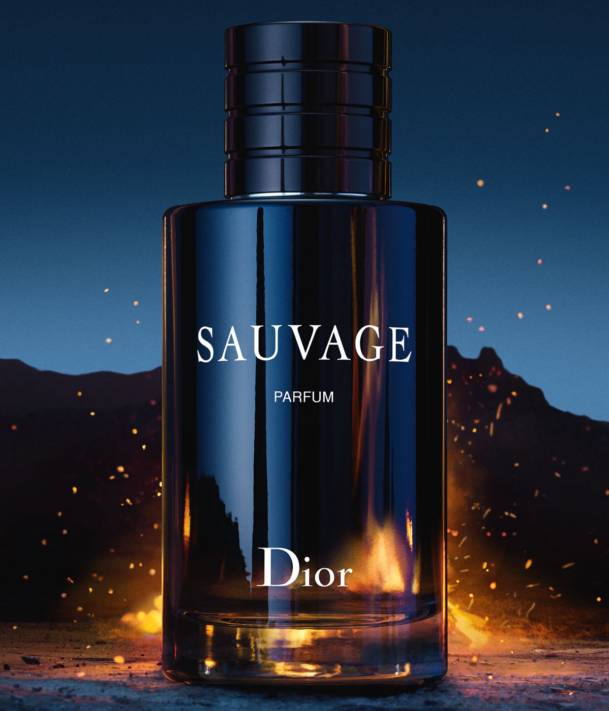 Dior Sauvage Parfum, 3.4 oz., $193